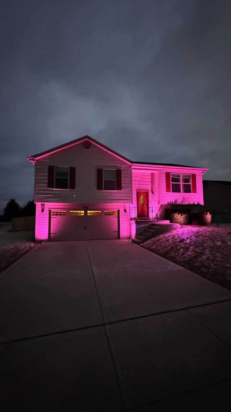 Before — Color-changing landscape lighting