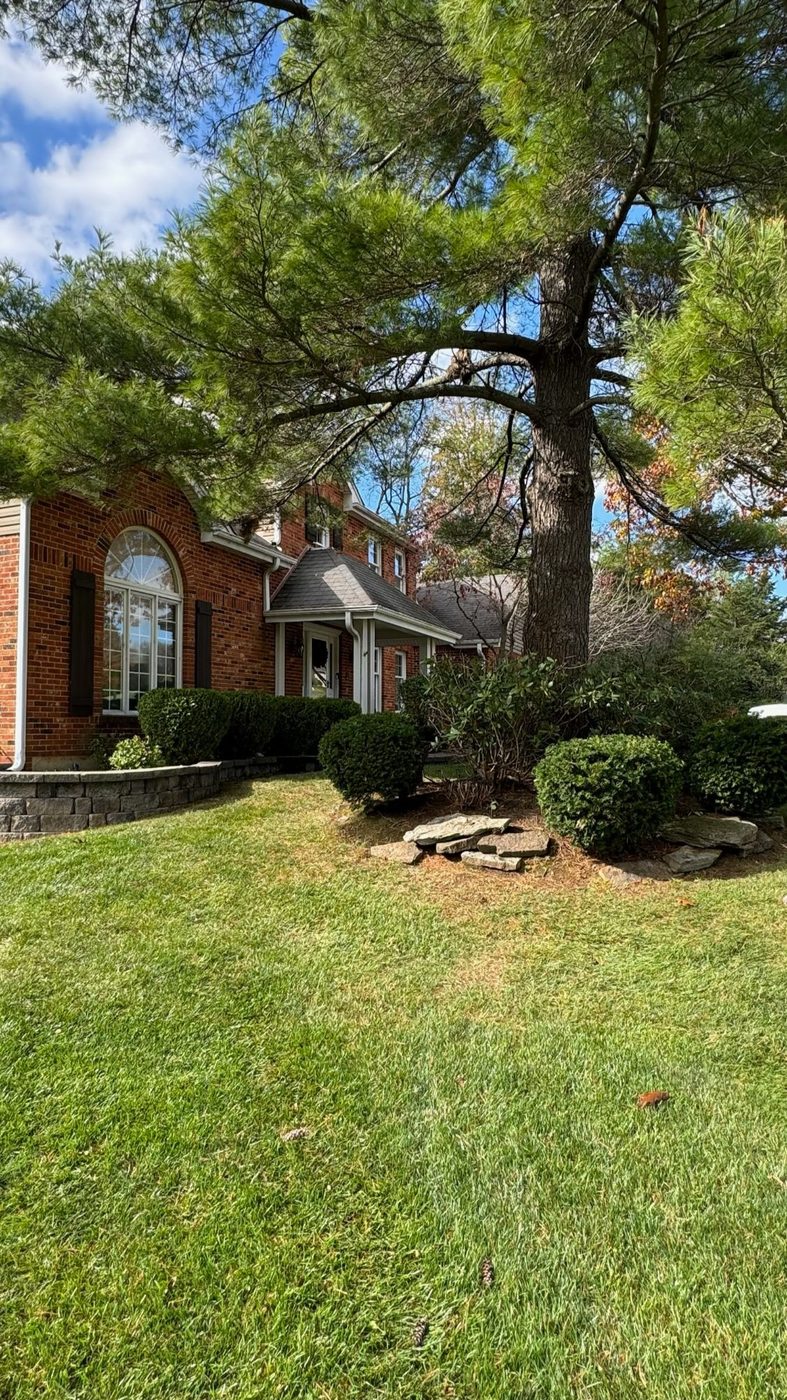 Metro West Lawn & Landscape project — Manicured front lawn