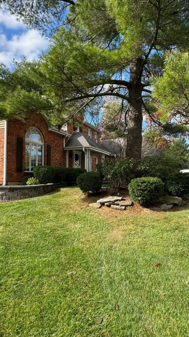 Metro West Lawn & Landscape project โ Manicured front lawn