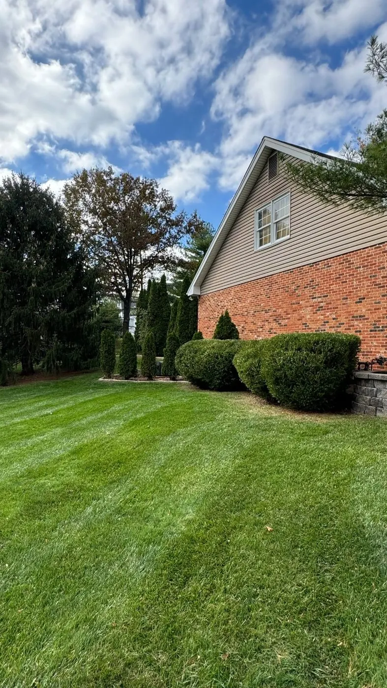 Metro West Lawn & Landscape project โ Mulch refresh
