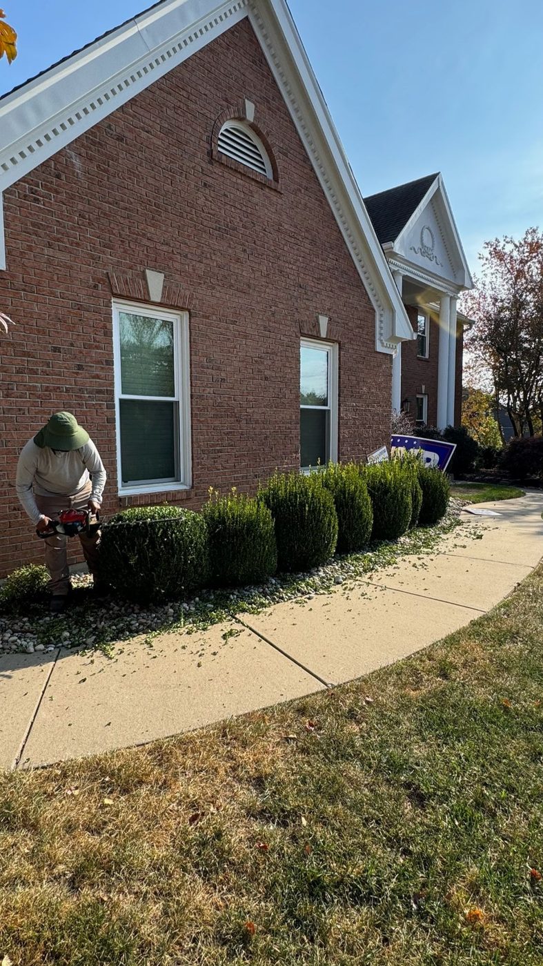 Metro West Lawn & Landscape project — Color-changing landscape lighting