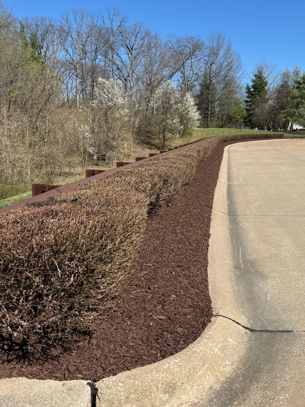 Metro West Lawn & Landscape project โ Mulch refresh
