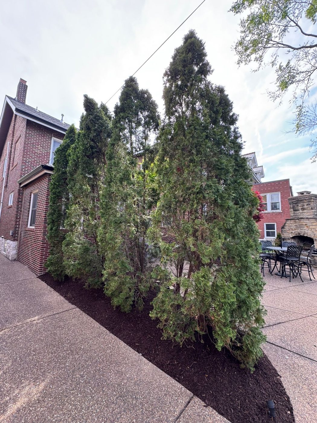 Metro West Lawn & Landscape project โ Full design + install