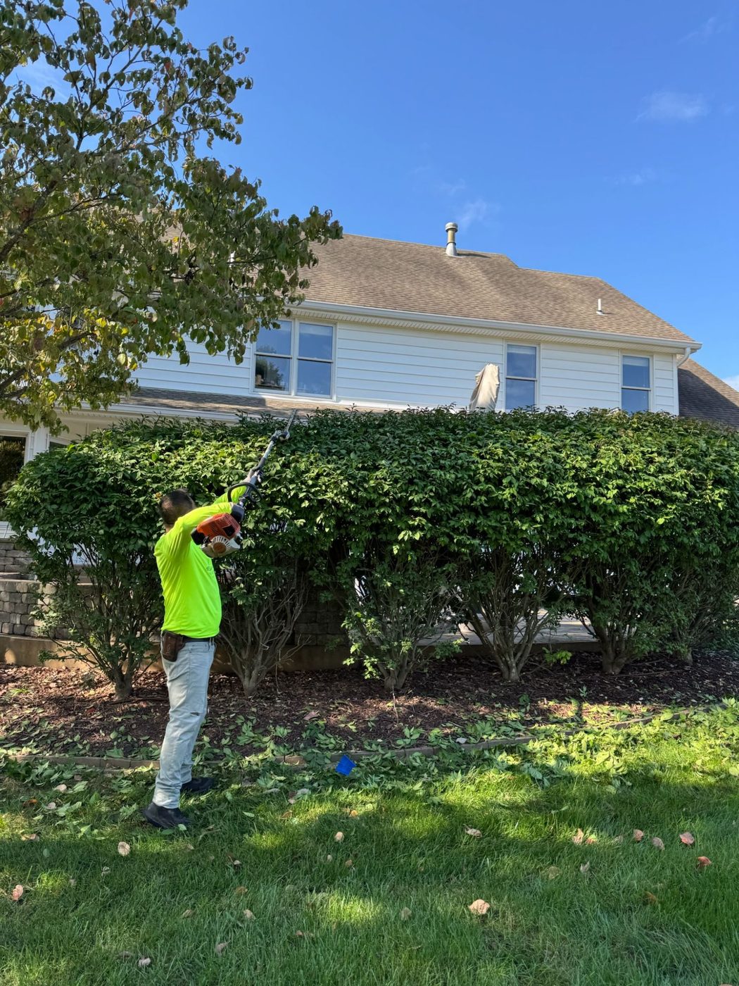 Metro West Lawn & Landscape project โ Edging & cleanup